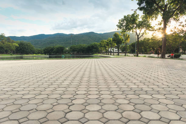 Best Affordable Driveway Pavers  in USA